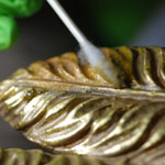 Testing Coating Removal on Eagle Feather